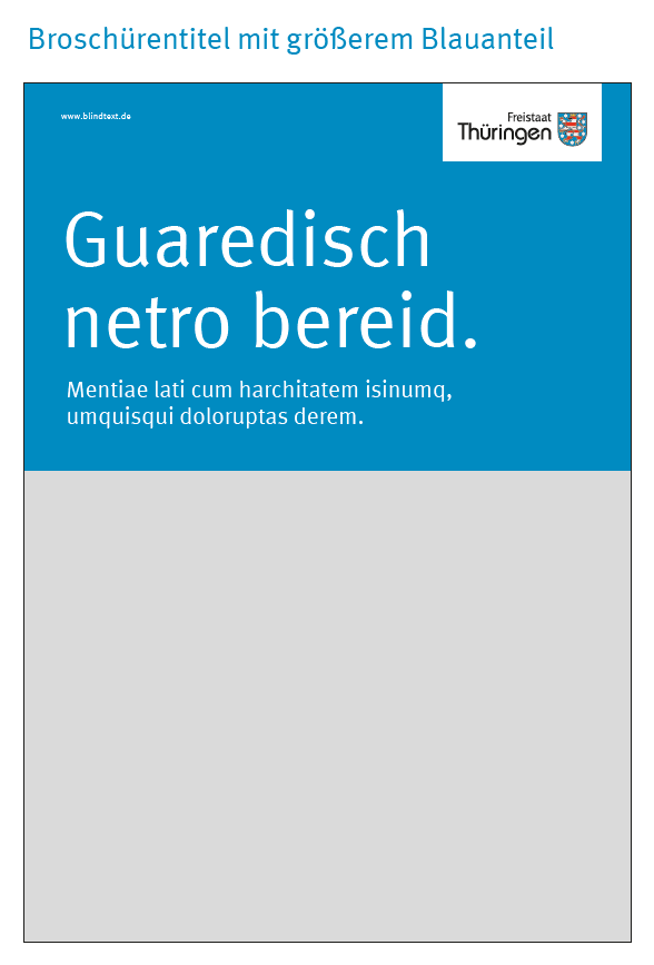Broschürentitel mit größerem Blauanteil