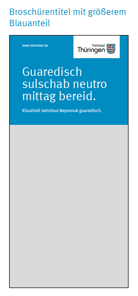 Broschürentitel mit größerem Blauanteil