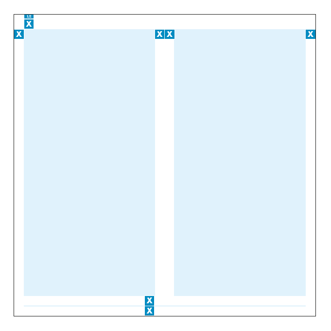 Innenseiten (Satzspiegel und Spaltenraster) - Seite 1